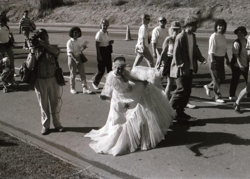 The Walk to Save Laguna Canyon